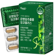 퍼니트 기억력 혈행개선 은행잎추출물 징코플러스, 30정, 1개