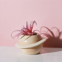 소프트 컬러 플래닛 화분, 브라운