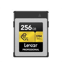 렉사 Professional CFexpress Type A 메모리카드, 80GB