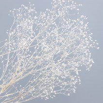 프리저브드 플라워 미니안개 2p, 화이트