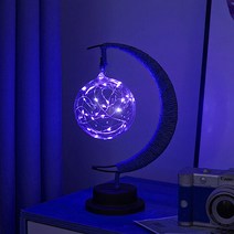 어썸리브 LED 로프 무드등 USB 모델 타입, 08 블루레이 플라스틱 볼