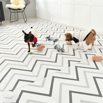 펫트롱 반려동물 쓸개골 매트, B타입