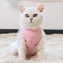 켈리몰 반려동물 중성화 수술복, 연핑크