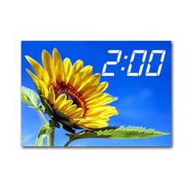 홈마인 LED 시계 캔버스 프린팅 액자 해바라기 A3, 30