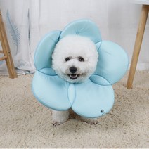 딩동펫 반려동물 벨크로 플라워 넥카라 블루 XL, 1개