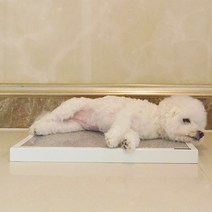 투인플레이스 고급형 스틸형 더위사냥 대리석 쿨매트 + 프레임, 대리석(어두운계열), 프레임(화이트)