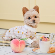 올치 강아지 고양이 체리 베어 사계절 올인원 VOP6270, 베이지