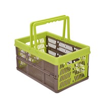 세이럭스 폴딩바스켓 20L, 그린, 1개