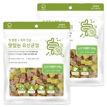 굿데이 맛있는 유산균껌 강아지 간식, 소고기, 300g, 2개