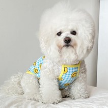 바이담수미 강아지 윈드 스마일 끈나시, 블루