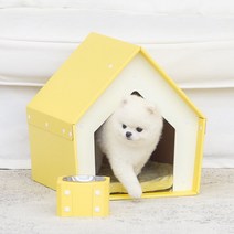 쥬디와이 반려동물 오각 펫 하우스, 연노랑