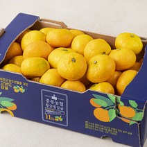 중문농협 당도선별 황금빛 감귤, 2.5kg(2S~M), 1박스