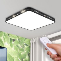 플랜룩스 티어 리모컨 LED방등 50W, 블랙