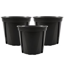 모리앤 슬릿화분 3p, 블랙