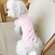 랜보어 강아지 도트 퍼프소매 티셔츠, 핑크