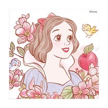 아이러브페인팅 디즈니 DIY PAINTING 20 x 20 cm, 스노우화이트