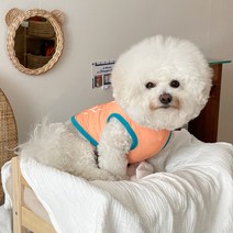 바이담수미 반려동물 야광 쿨 나시, 오렌지