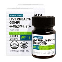 휴럼 곰피로 간건강 플러스 24g, 2개