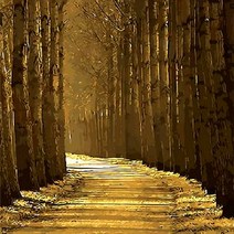 피포페인팅 DIY 풍경화 그리기 세트 가을 테마 시리즈 40 x 50 cm, Q392