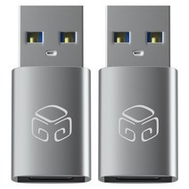 디지지 USB C타입-A 변환젠더 D20-0017 2p, 메탈실버