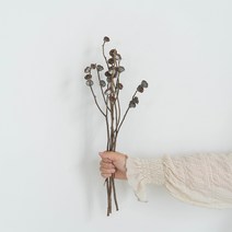 가팡 드라이플라워 DRYB085, 03번(딥블루)