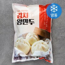 창화당 호호 불어먹는 김치왕만두 (냉동), 1팩, 600g
