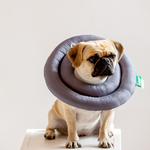 페스텝 강아지 UFO 넥카라 그레이 M, 1개