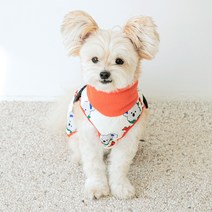 바잇미 반려견 이지핏 하네스 패딩, 코알라