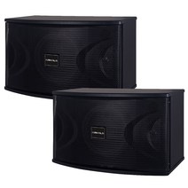 카날스 엔터그레인 고품질 스피커 450 x 250 x 270 mm 200W 2p, JY-830