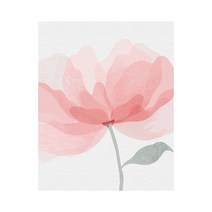 플레이어바웃 딜라잇 플라워 DIY 명화 그리기 40 x 50 cm 세트, 혼합색상