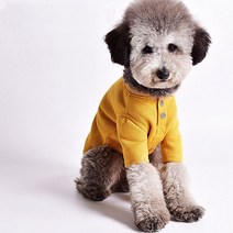 쁘띠도그 반려동물 투버튼골지티 DT070, 옐로우