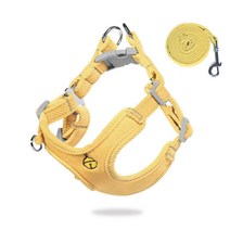 앤티스 반려동물 네츄럴드롭 하네스 XXS + 리드줄, 옐로우, 1세트