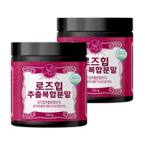 초담식품 로즈힙 추출 복합 분말, 150g, 2개