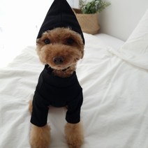 바이굄 반려동물 데일리 쫀쫀 티셔츠, 블랙