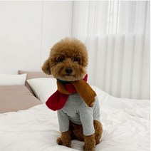 유앤펫 반려견 삼색 컬러 목도리, 브릭 브라운, 1개