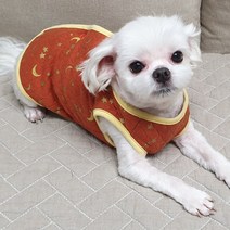 도기코디 별달누빔 강아지 조끼, 오렌지