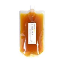 생강공방 어른 진저에일 에코팩 730g 1팩