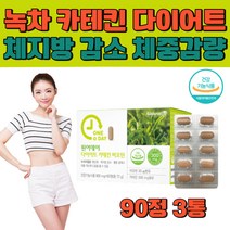 다이어트 보조제 체지방 복부지방 내장지방 감소 체중 몸무게 감량 촉진제 식약처인증 녹차 카테킨 추출물 예신 예랑 복부 허벅지 종아리 살 빼는 방법 법 40대 50대 컷팅제