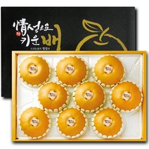 산지직송 프리미엄 꿀 나주배 신고배 가정용 선물용 과일 햇 배 설 추석 명절 선물 세트 대 중 소 한박스 7.5kg 15kg, 2. 나주배 7.5kg (6~10개 내외) 1박스