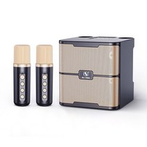 가족 노래방 기계 듀얼 마이크 무선 노래방 스피커 충전식 100W 고출력 홈 장비, CHINA_Black