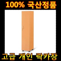 에니퍼 1인락카장 라커룸 락커 상두대 병원가구 옷장 사무실 캐비넷 락카룸 사물함 개인 캐비닛 탈의실, 월낫