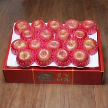 GAP인증 문경사과 10kg(38~40과)