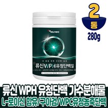 류신 단백질 프로틴 유청단백질 가수분해물 구아검가수분해물 분말 가루 파우더 BACC L 로이신 WPH WPC 농축유청단백질 함유, 2통, 280g