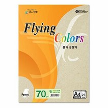 플라잉칼라 Pk02 얼스팩 A4 70g 복사용지 25매입 10개, 색상:[색상]본상품