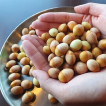 깐은행 1kg /은행 알맹이만 가득 /껍질깐 은행알 /양이 많아요