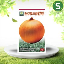 천주중고황양파씨앗 5g 황양파 저장용 씨앗 종자, 1개