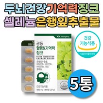 징코 은행잎 추출물 일일 최대함량 기억력 혈행 개선 뇌건강 두뇌 머리 수험생 고3 60정 5박스 5개월분 학습 비타민B 아연 셀레늄 소형캡슐 플라보놀배당체 은행입