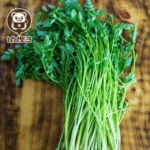 냠냠토크 [냠냠토크] 특품 한재 미나리 무농약인증 200g, 3개