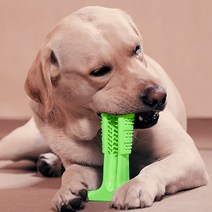 킹콩 애견 칫솔 (100% 천연고무) 양치스트레스 없이 스스로 이닦자, 1개, 그린