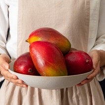 [과일엔] 항공직송 브라질 애플망고 3-5과 2kg내, 단품